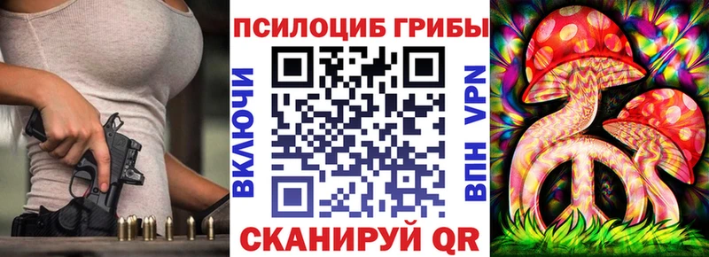 Купить где  Тамбов  Псилоцибиновые грибы прущие грибы 